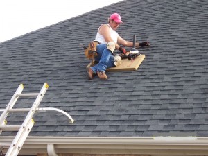 Roof services